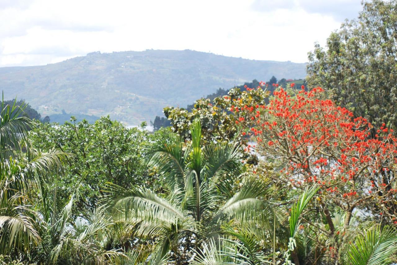 Crater Bay Cottages Kabale Kültér fotó