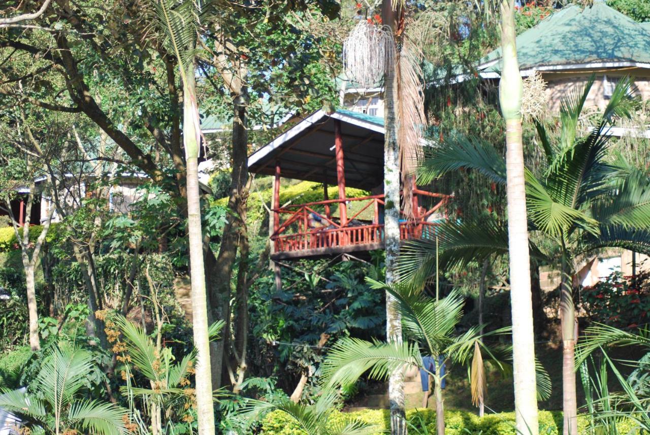 Crater Bay Cottages Kabale Kültér fotó