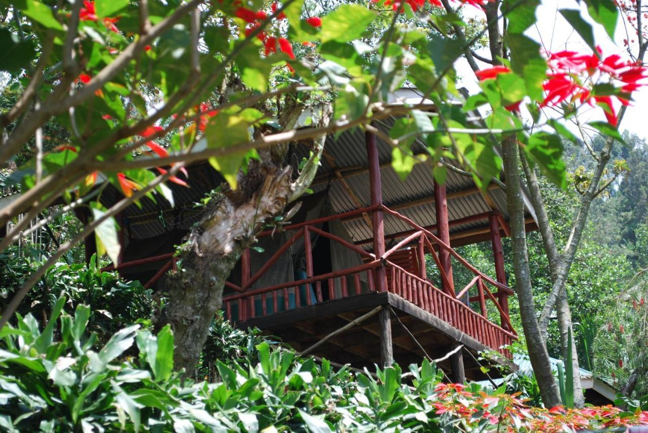 Crater Bay Cottages Kabale Kültér fotó