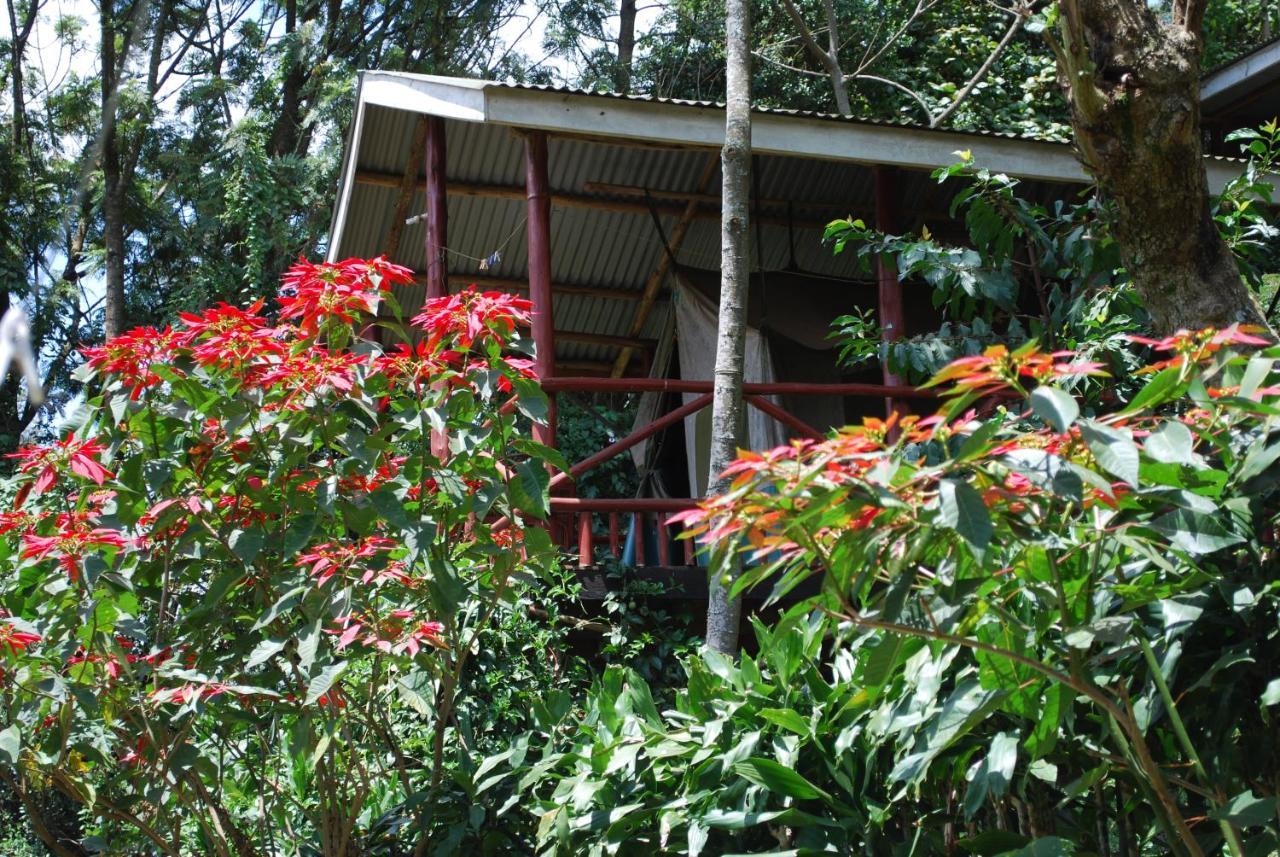 Crater Bay Cottages Kabale Kültér fotó