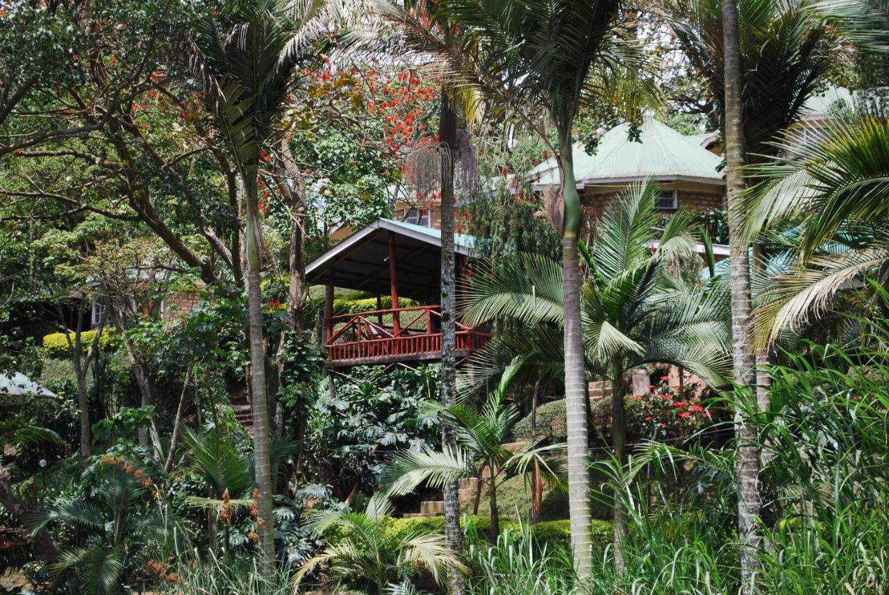 Crater Bay Cottages Kabale Kültér fotó